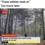 meme