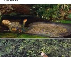 classic art