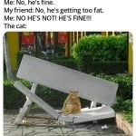 meme