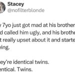 meme