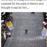 meme