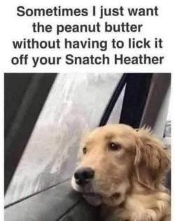 meme