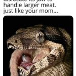 meme