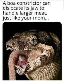 meme
