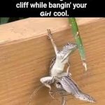 meme